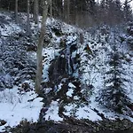 In Nahe Harzwald