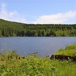 In Nahe Harzwald *