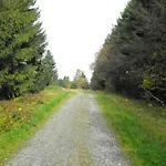 In Nahe Harzwald * Wildemann