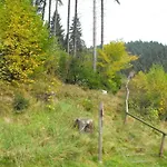 Appartement In Nahe Harzwald *