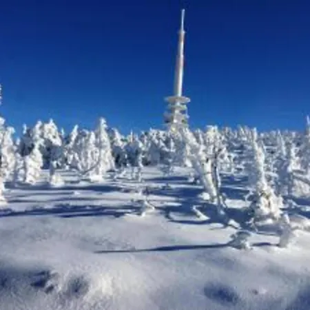 In Nahe Harzwald *