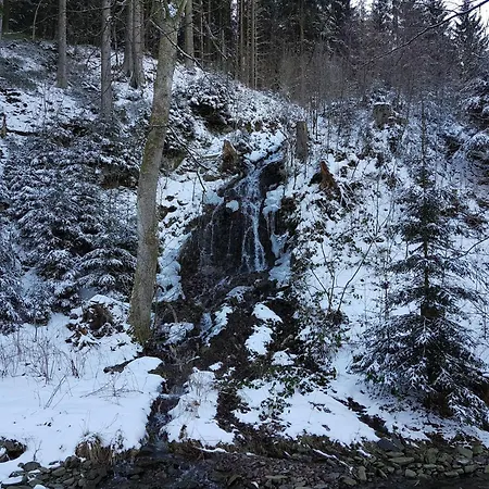 In Nahe Harzwald