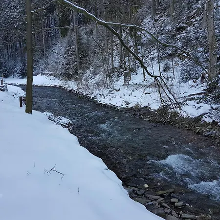 In Nahe Harzwald Lejlighed *