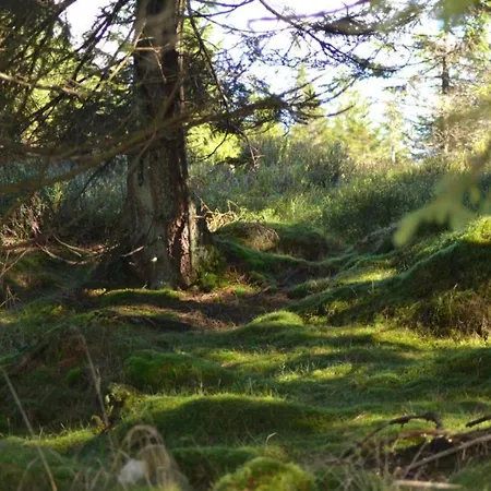 Apartmán In Nahe Harzwald Wildemann