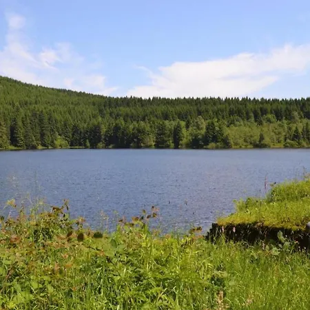 In Nahe Harzwald *