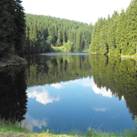In Nahe Harzwald *