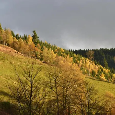 In Nahe Harzwald