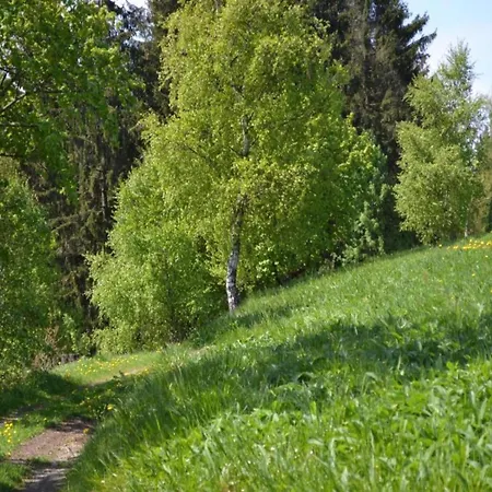 Apartmán In Nahe Harzwald Wildemann