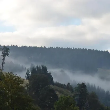 In Nahe Harzwald *