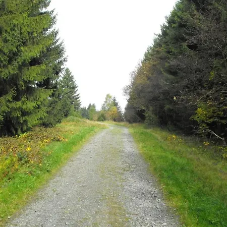 In Nahe Harzwald * Wildemann