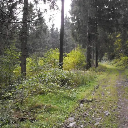 Apartmán In Nahe Harzwald *