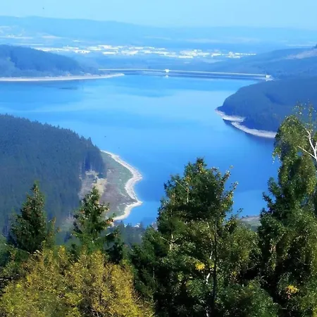 In Nahe Harzwald Wildemann