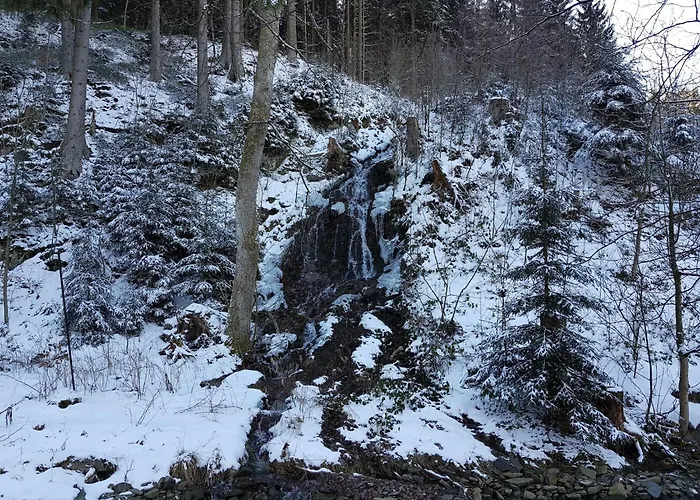 In Nahe Harzwald