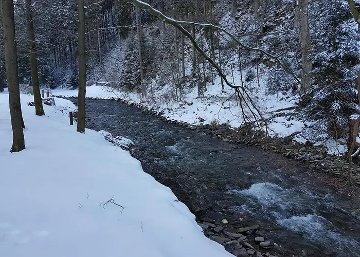 In Nahe Harzwald Apartmán *