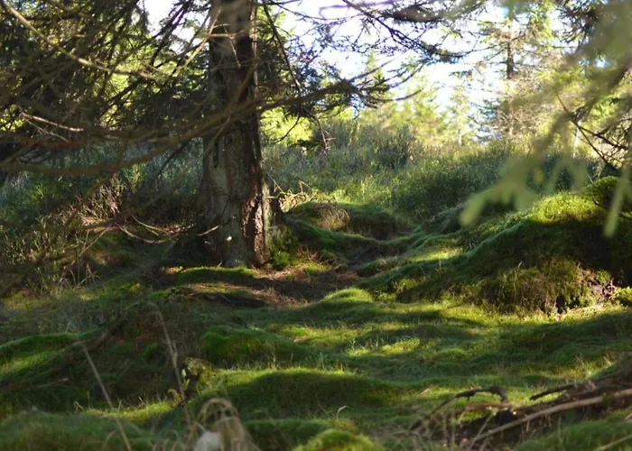Apartmán In Nahe Harzwald Wildemann