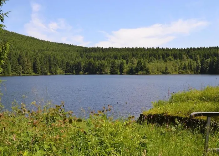 In Nahe Harzwald *