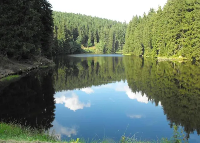 In Nahe Harzwald *