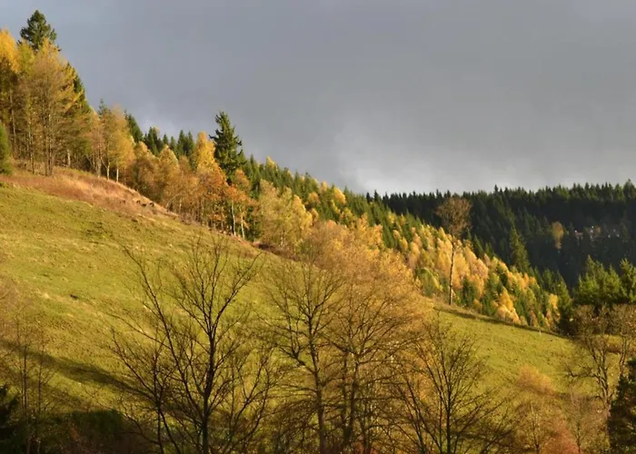 In Nahe Harzwald