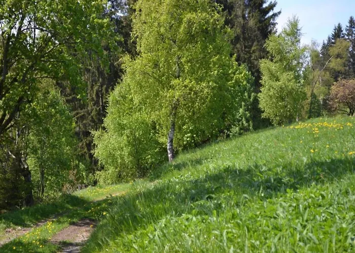 Apartmán In Nahe Harzwald Wildemann