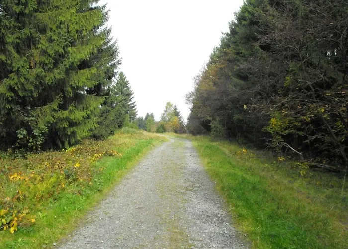In Nahe Harzwald * Wildemann