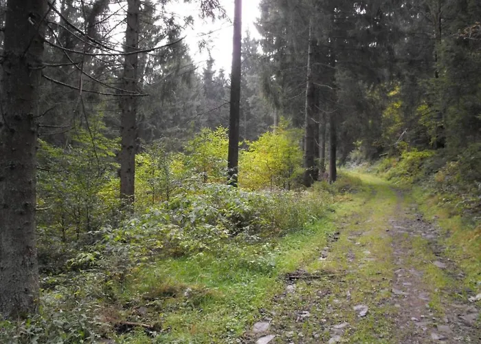 Apartmán In Nahe Harzwald *